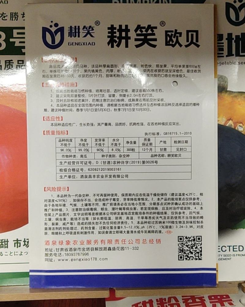 南瓜种子产地批发供应，厂家供货品种全，品质保证，价格合理