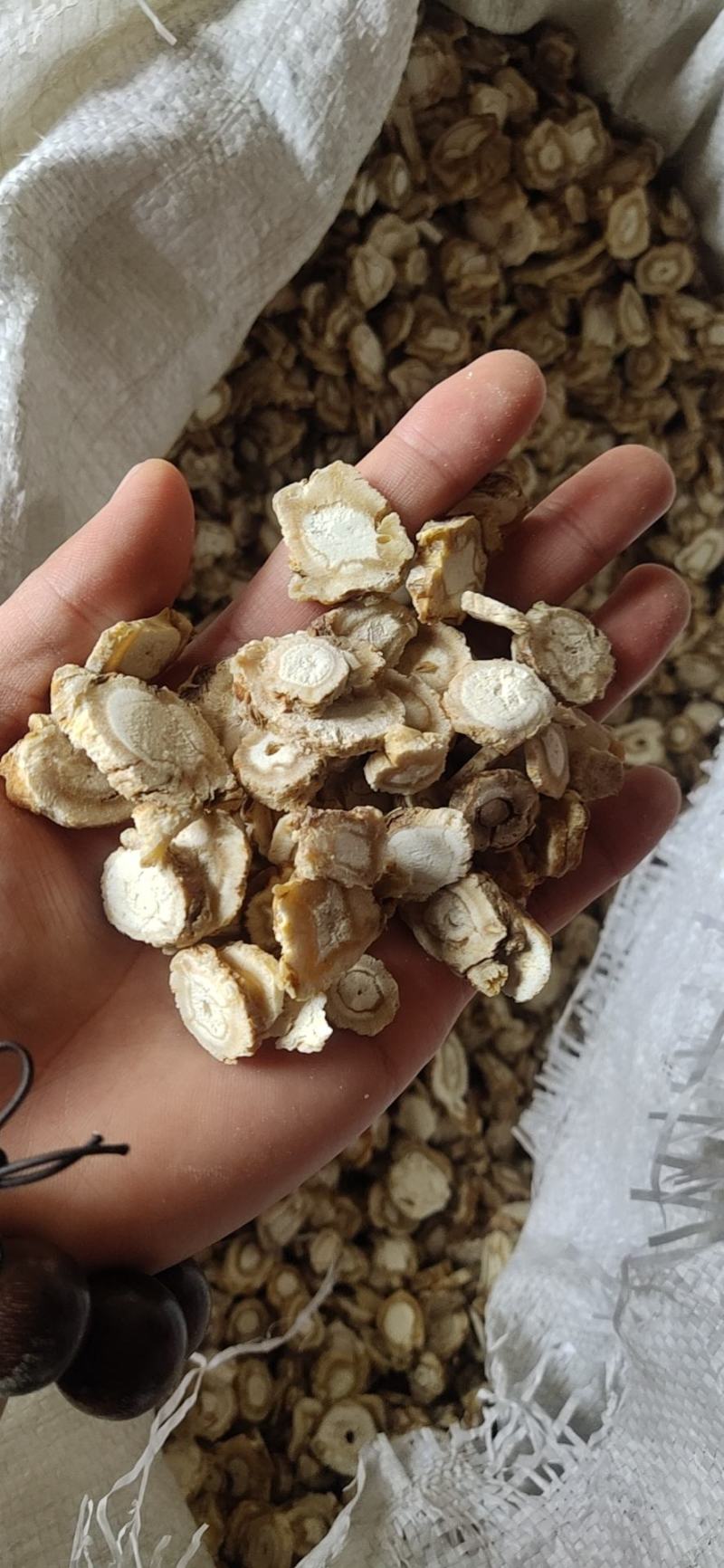 沙参片，白心片，大选片