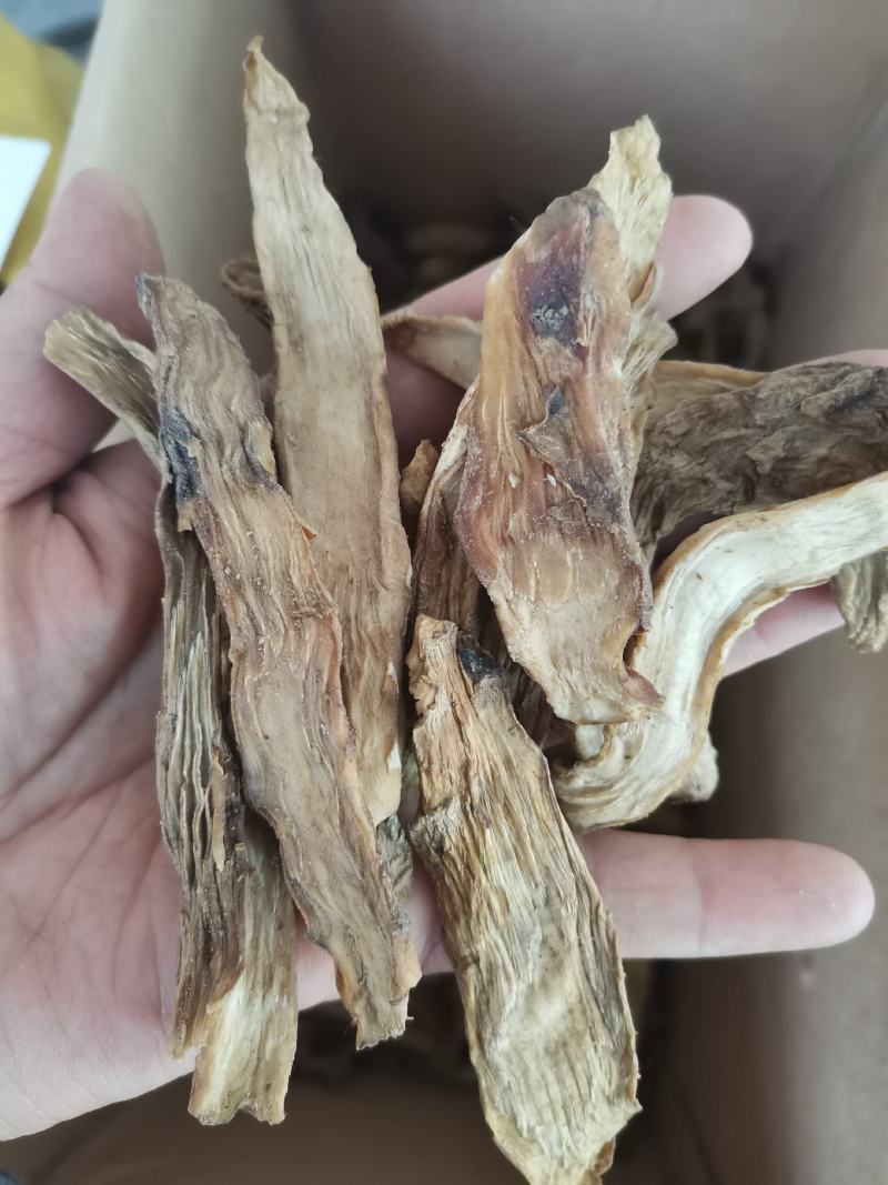 阿拉善肉苁蓉鲜干片野生肉苁蓉正宗正品泡酒泡茶一斤包邮
