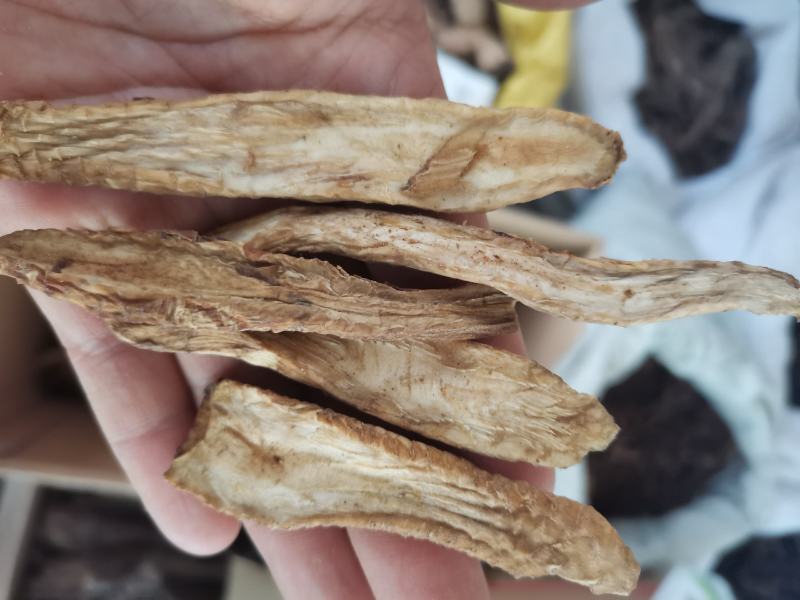 阿拉善肉苁蓉鲜干片野生肉苁蓉正宗正品泡酒泡茶一斤包邮