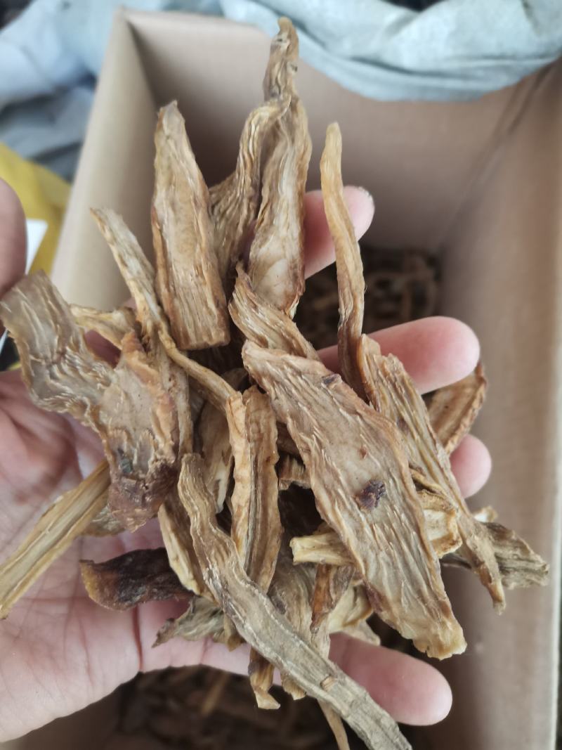 阿拉善肉苁蓉鲜干片野生肉苁蓉正宗正品泡酒泡茶一斤包邮