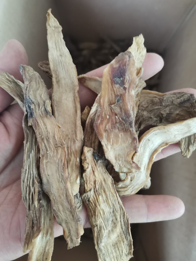 阿拉善肉苁蓉鲜干片野生肉苁蓉正宗正品泡酒泡茶一斤包邮