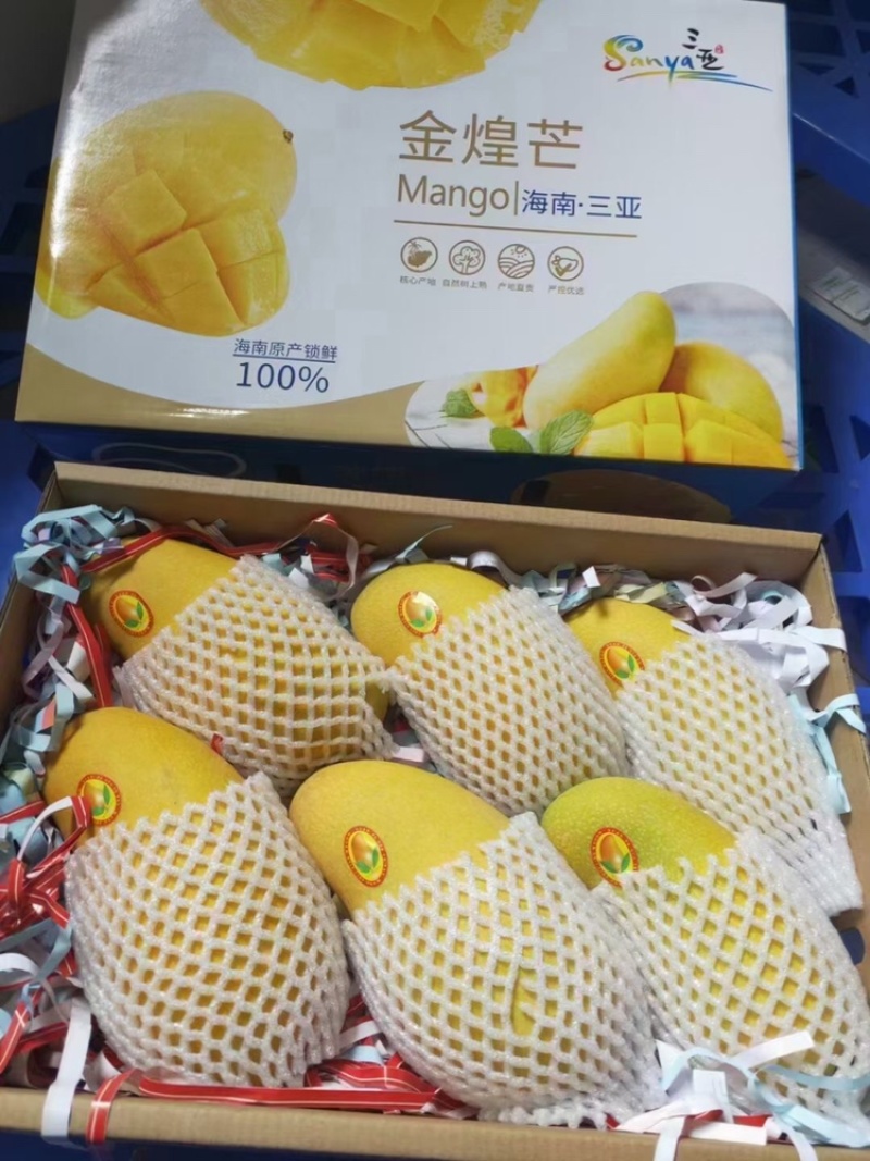 芒果