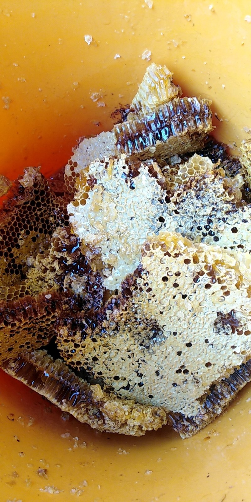 土蜂蜜