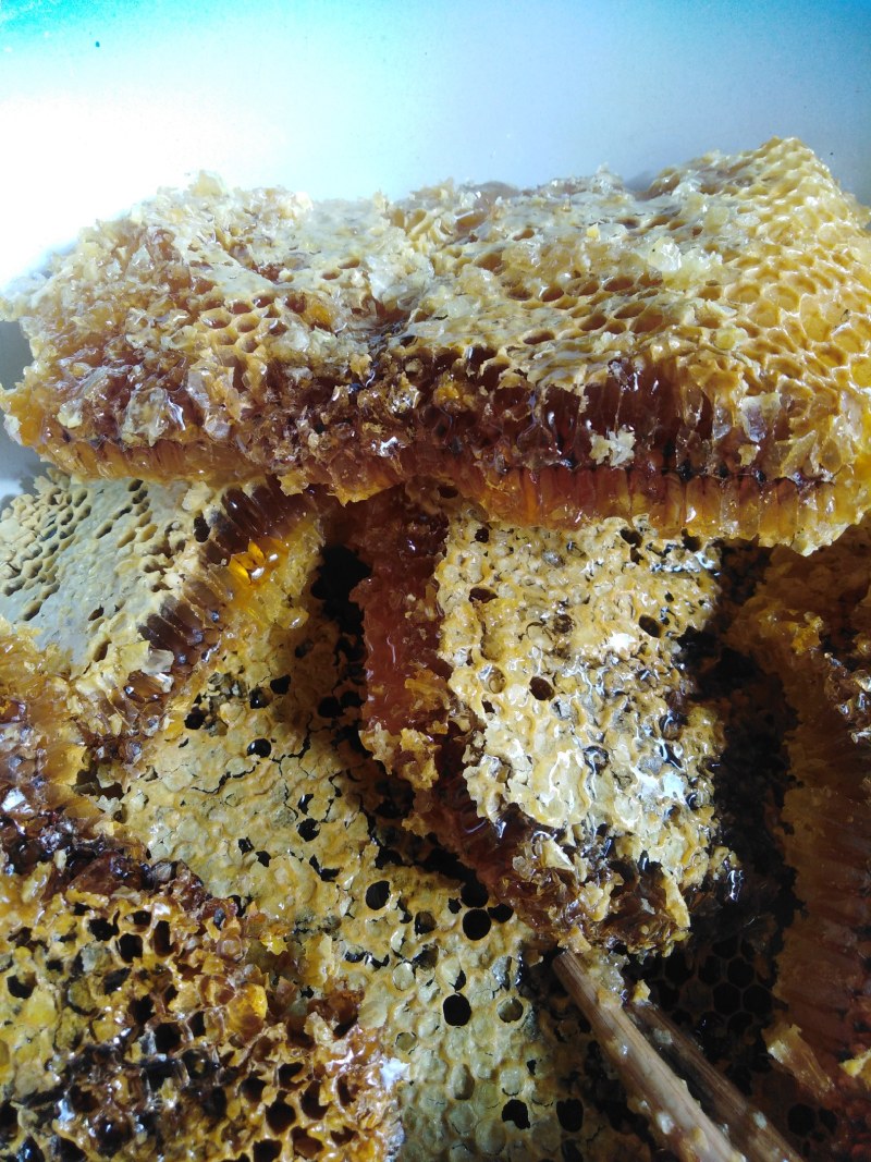 土蜂蜜