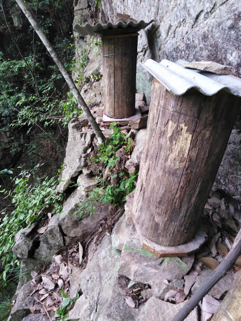 土蜂蜜