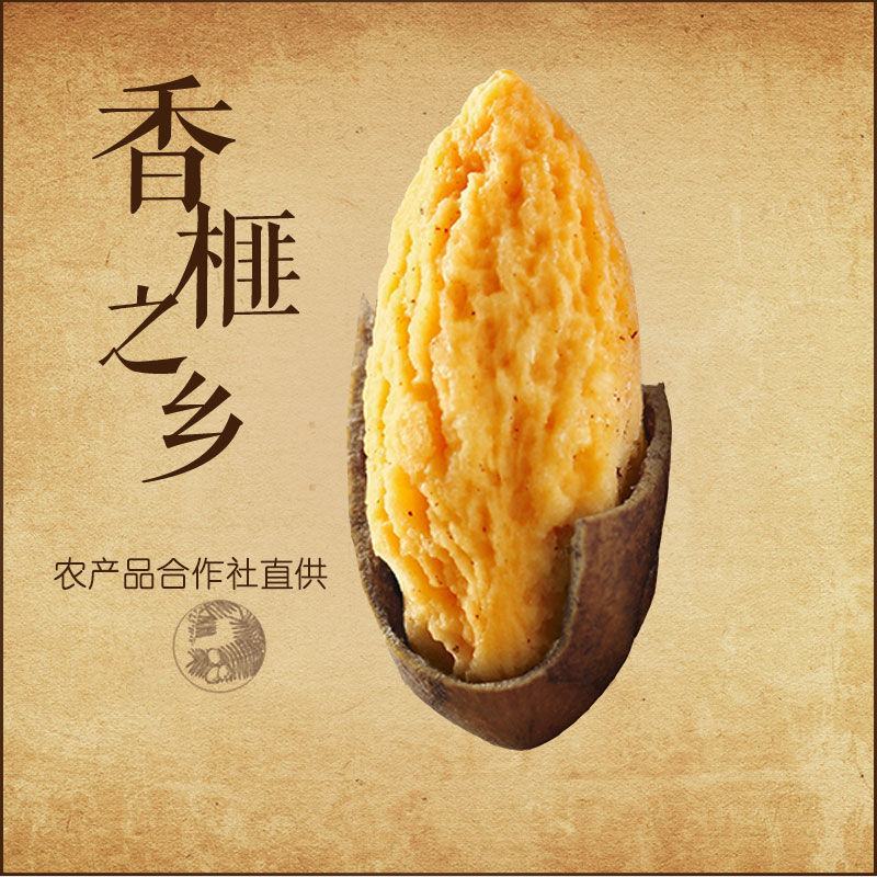 【一件代发】新货香榧子嵊州诸暨枫桥香榧含罐多规格超值包邮