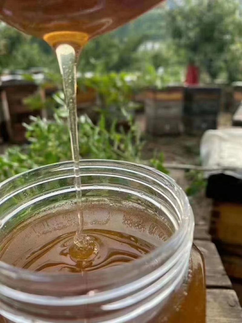 土蜂蜜