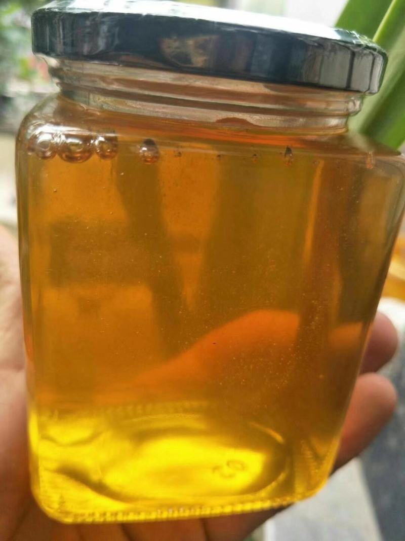 土蜂蜜
