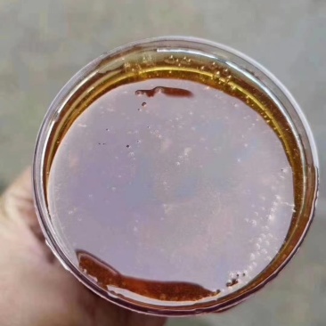 土蜂蜜