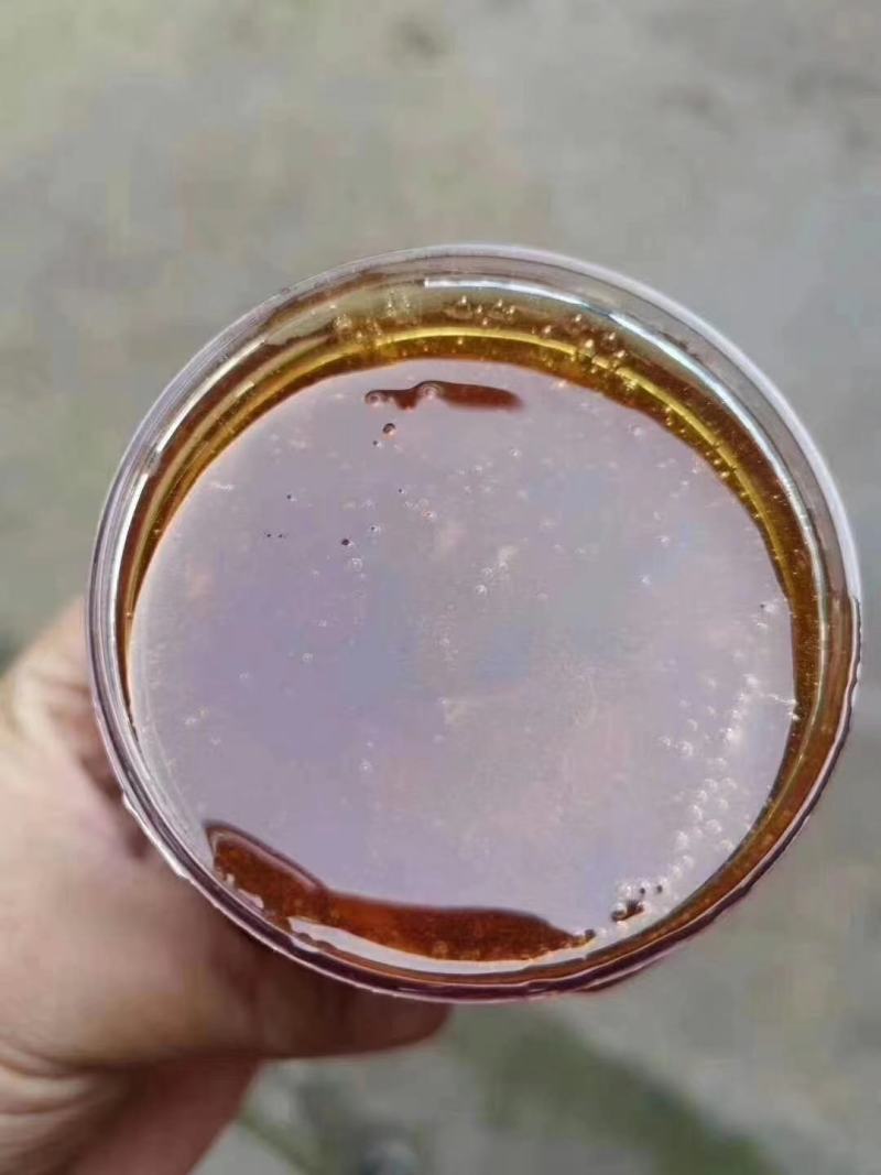 土蜂蜜