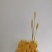 石磨面粉，全麦粉，黑麦粉，绿麦粉