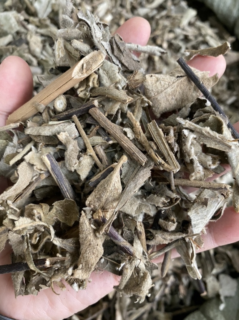 山白芷叶山白芷