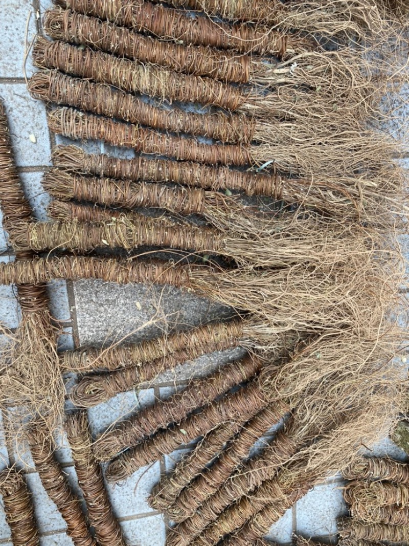 鸡骨草