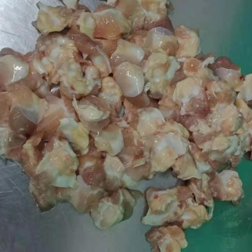 膝软骨有货，厂家直接发货，规格齐全