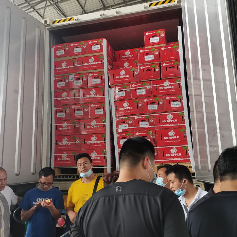 【红玫瑰苹果】新西兰脆甜红玫瑰苹果4斤