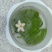 一叶莲一叶莲碗莲水生花卉水培植物室内阳台四季开花盆栽鱼缸