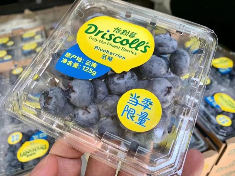 【怡颗莓蓝莓】云南精品限量版蓝莓超大果12盒3-4斤