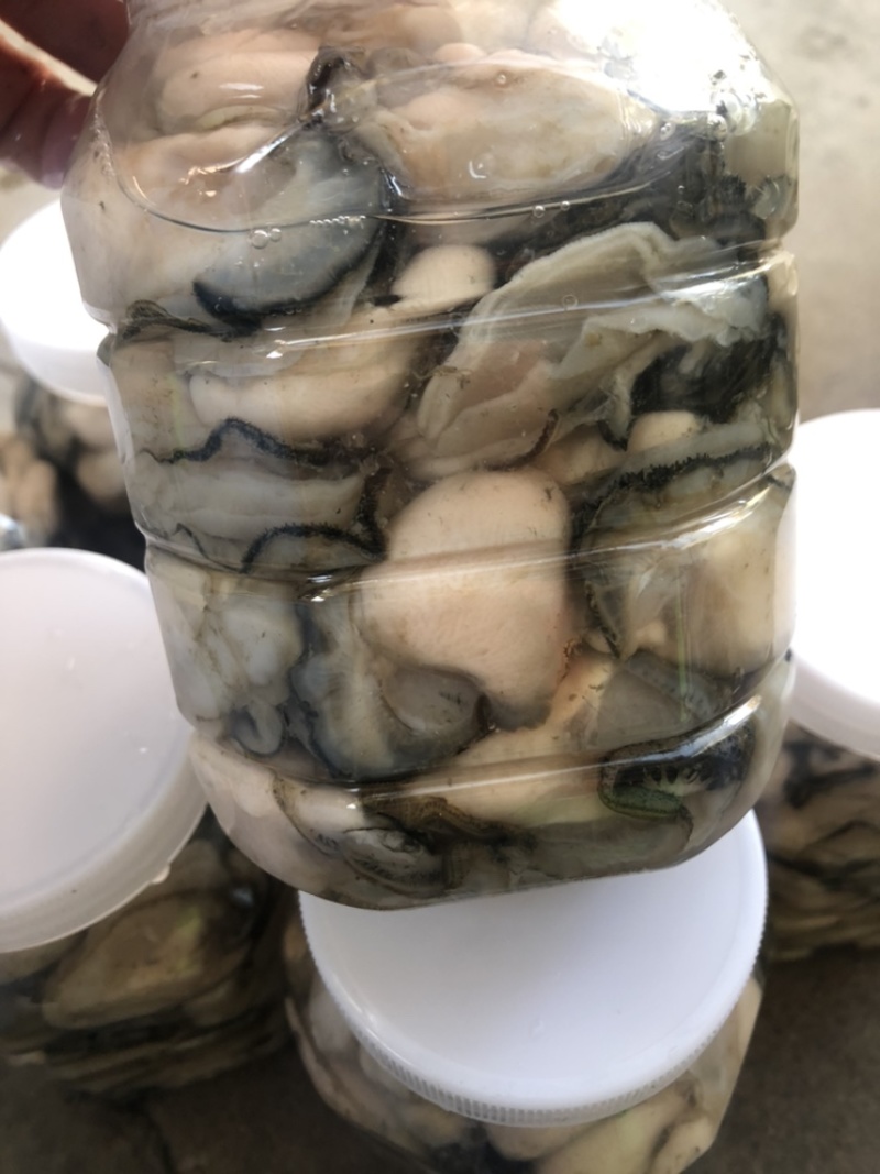 生蚝肉鲜活现剥牡蛎肉去壳海蛎子肉批发每天新鲜