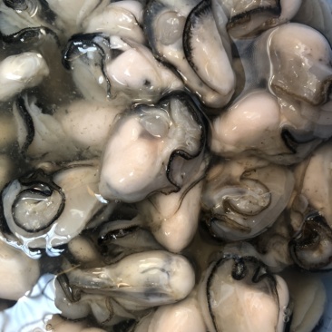 生蚝肉鲜活现剥牡蛎肉去壳海蛎子肉批发每天新鲜