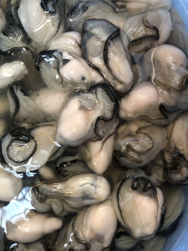 生蚝肉鲜活现剥牡蛎肉去壳海蛎子肉批发每天新鲜