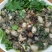 生蚝肉鲜活现剥牡蛎肉去壳海蛎子肉批发每天新鲜