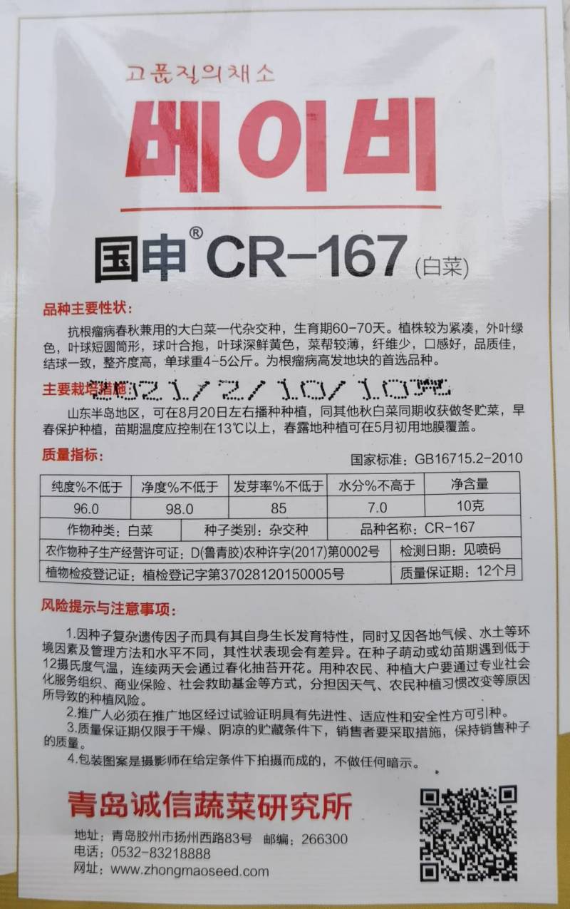国申CR167春秋白菜种子，抗根瘤病黄心黄芯60天冬储