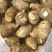 毛芋8520基地发货按需加工保质保量全国发货
