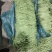 精品云南四季豆（小金豆）！一手货源！全国代发！品质保证。