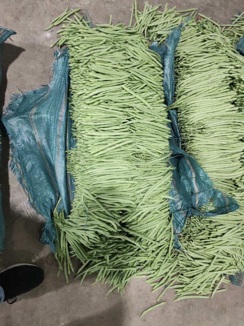 精品云南四季豆（小金豆）！一手货源！全国代发！品质保证。
