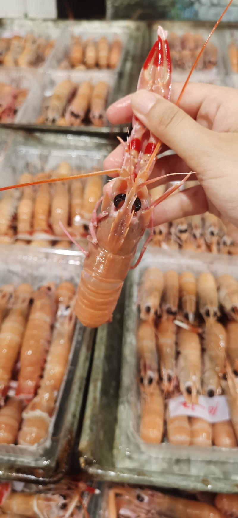 海鳌虾深海鳌虾海龙虾铁甲虾大规格鳌虾一手货源