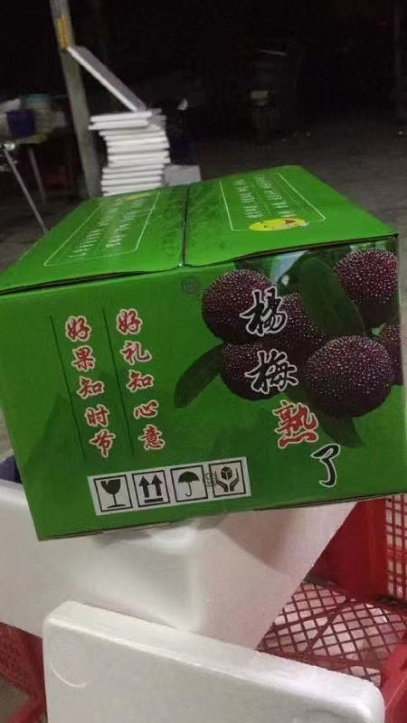 正宗金灶杨梅