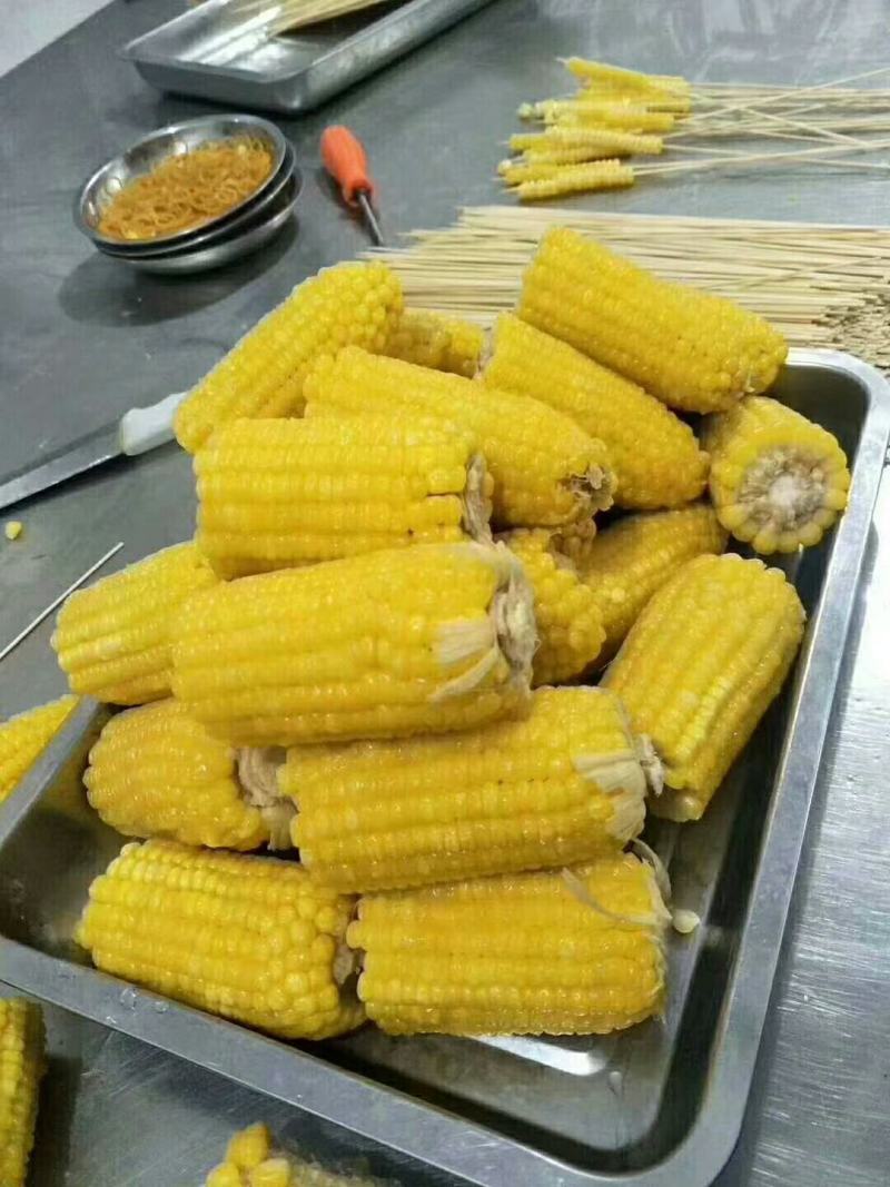 冷冻玉米小串黄金串烧烤串串麻辣一件代发