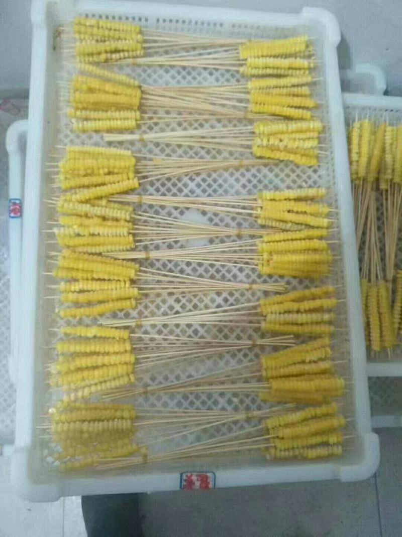 冷冻玉米小串黄金串烧烤串串麻辣一件代发