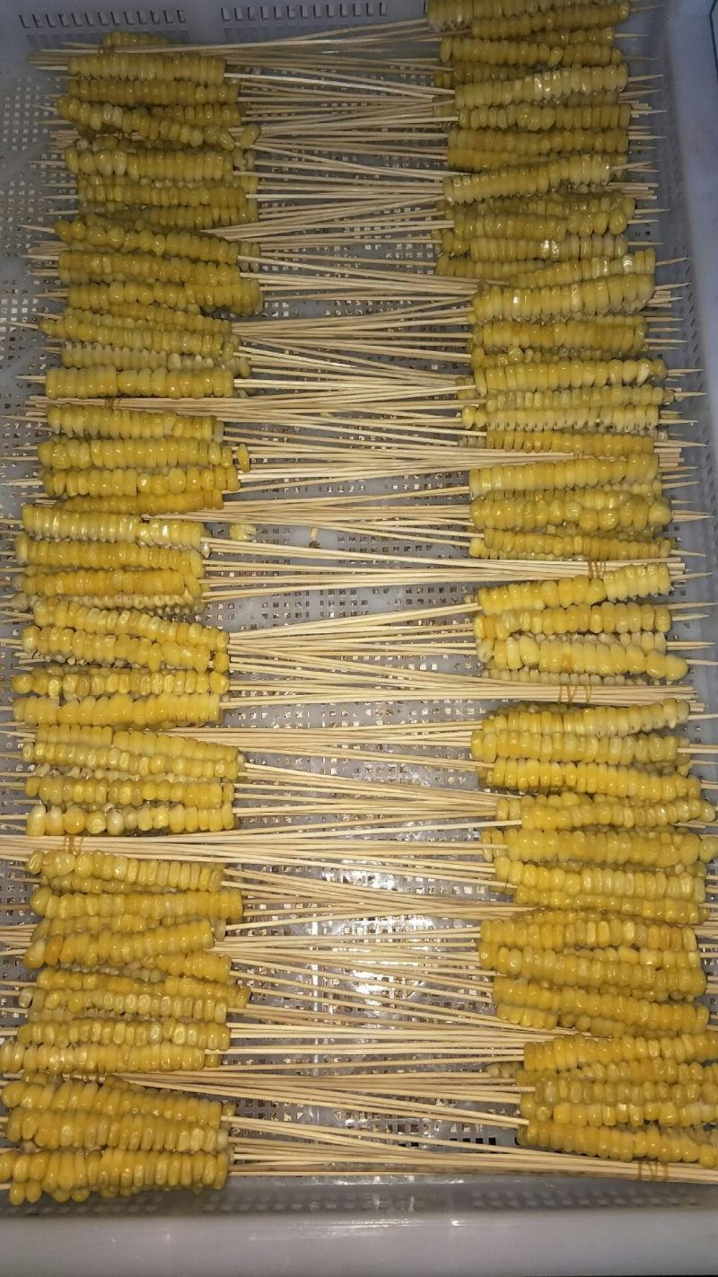冷冻玉米小串黄金串烧烤串串麻辣一件代发