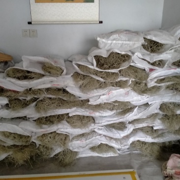 纯手工红薯粉条