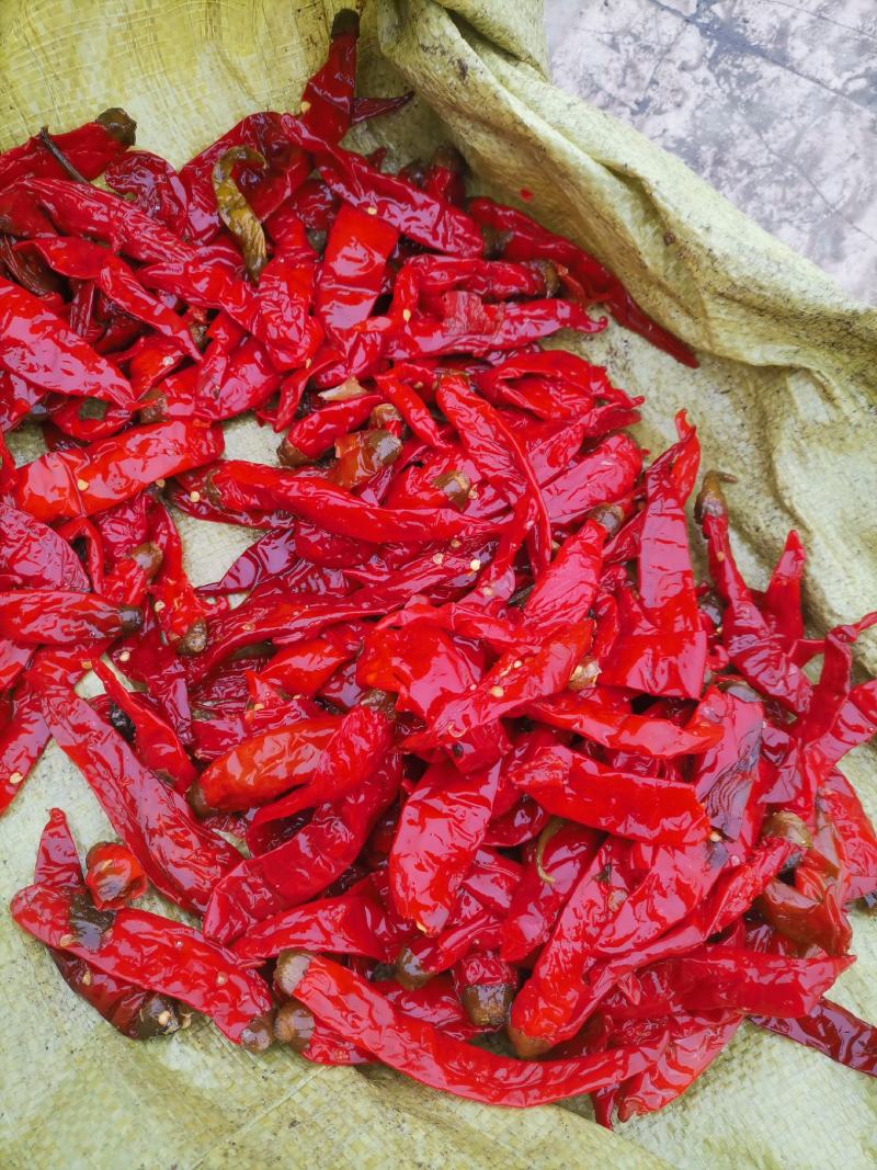 厂家直销，辣椒，咸红辣椒，泡二荆条，酱菜的好调料