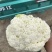 【花菜】精品有机菜花产地直发供应各大市场电商商超
