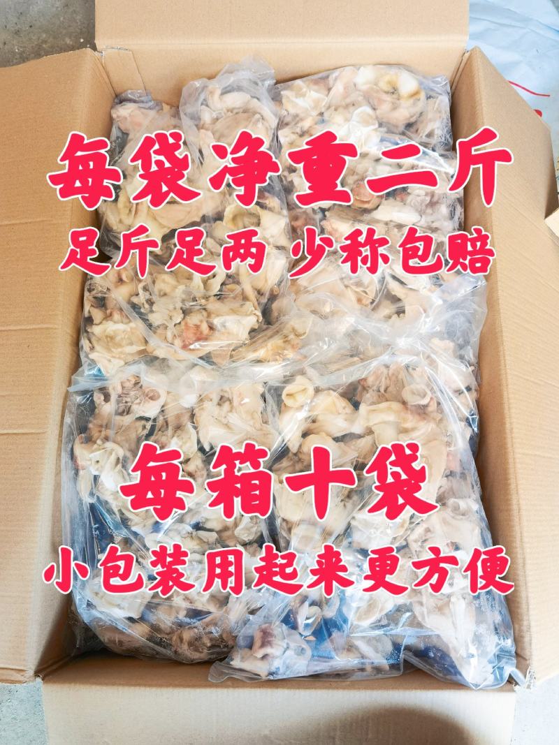 单冻鱿鱼脖鱿鱼脖鱿鱼脆脆骨鱿鱼边角料