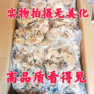 单冻鱿鱼脖鱿鱼脖鱿鱼脆脆骨鱿鱼边角料