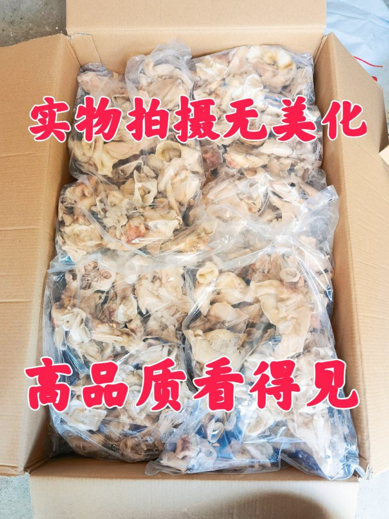 单冻鱿鱼脖鱿鱼脖鱿鱼脆脆骨鱿鱼边角料
