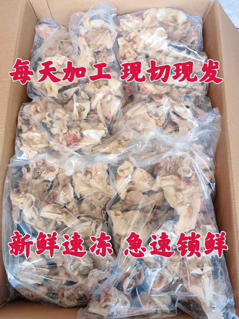 单冻鱿鱼脖鱿鱼脖鱿鱼脆脆骨鱿鱼边角料