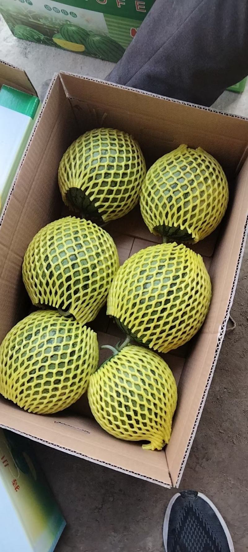 东台西瓜大量上市中，品种有8424特小风，欢迎来选购