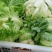 精品-菜花-松花菜适合超市，市场，加工厂，大量现货