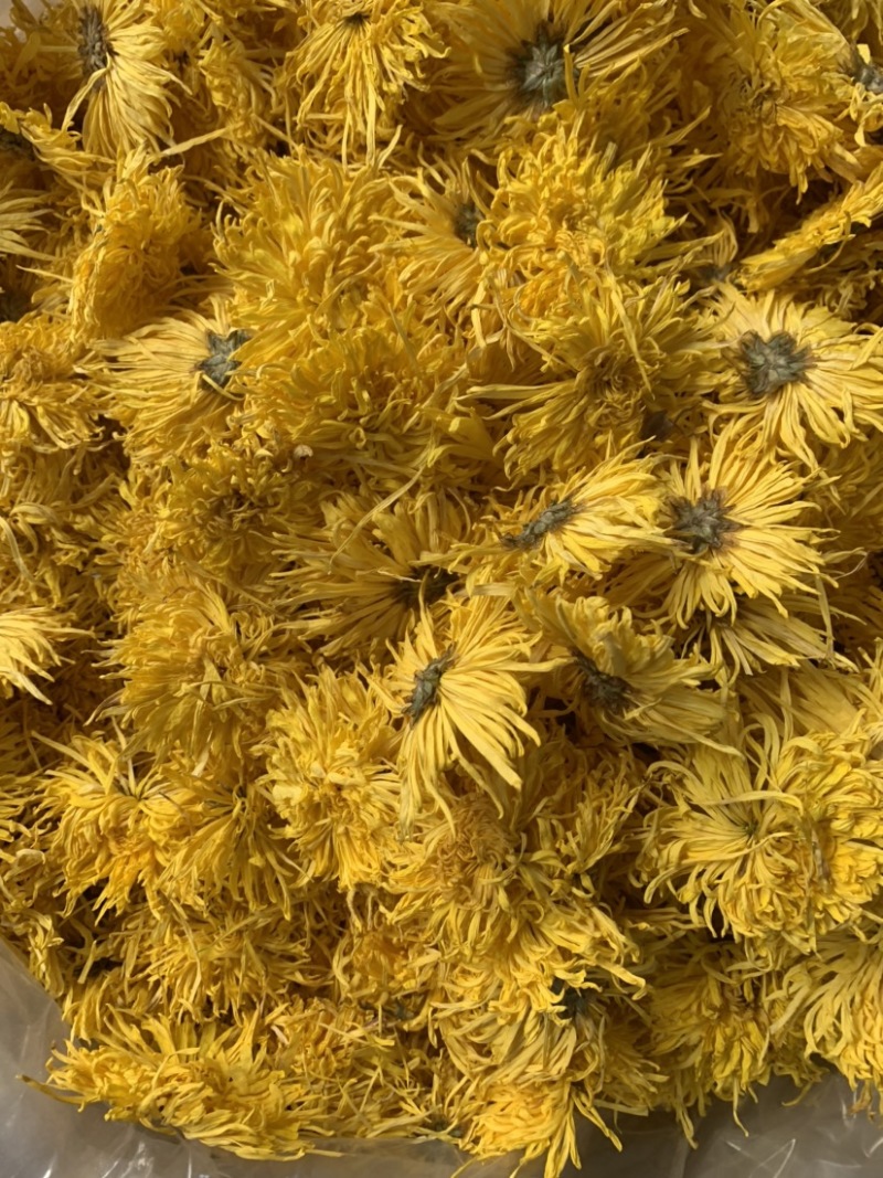 金丝皇菊花茶颜色黄大朵无硫无添加量大从优