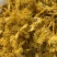 金丝皇菊花茶颜色黄大朵无硫无添加量大从优