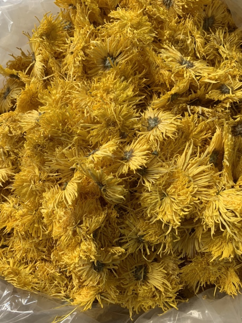 金丝皇菊花茶颜色黄大朵无硫无添加量大从优