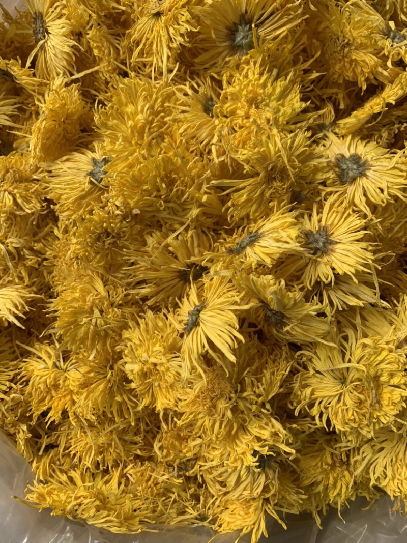 金丝皇菊花茶颜色黄大朵无硫无添加量大从优