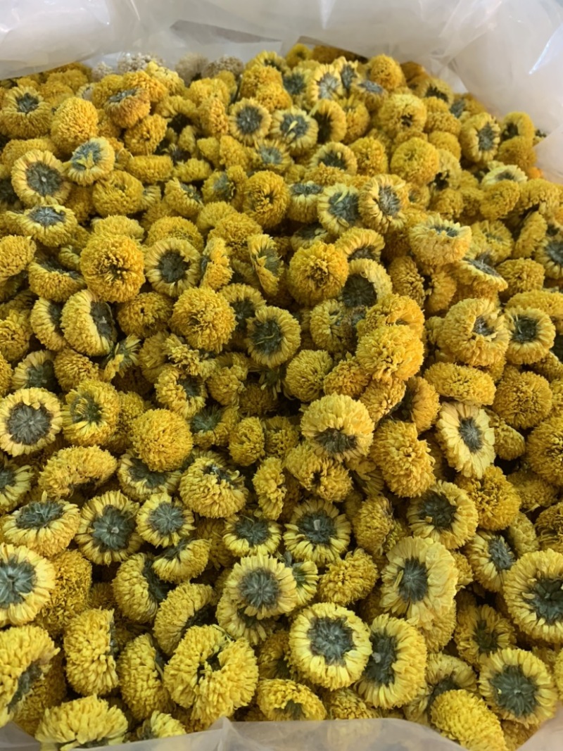 球菊无硫新货颜色鲜艳朵朵均匀量大从优