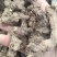 苍术野生苍术大别山野生中药材苍术可批发零售
